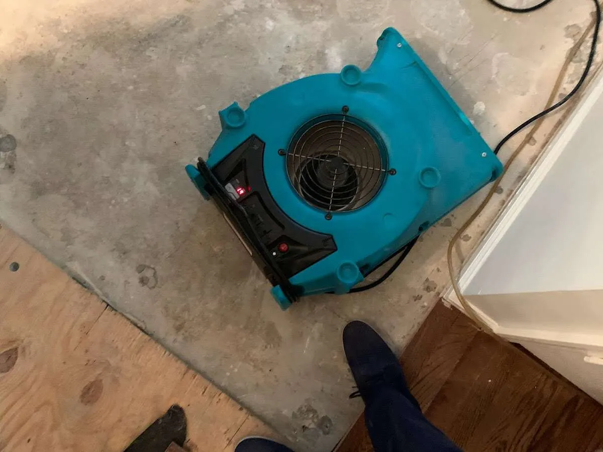 Air mover drying subfloor during Leak Detection & Repair in Ferndale